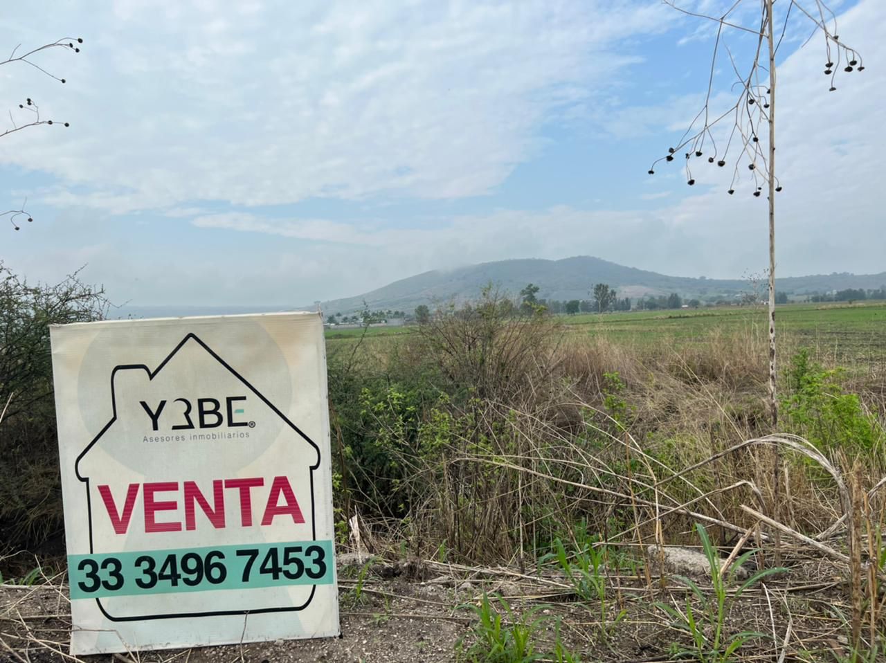 Terreno en Venta YABE