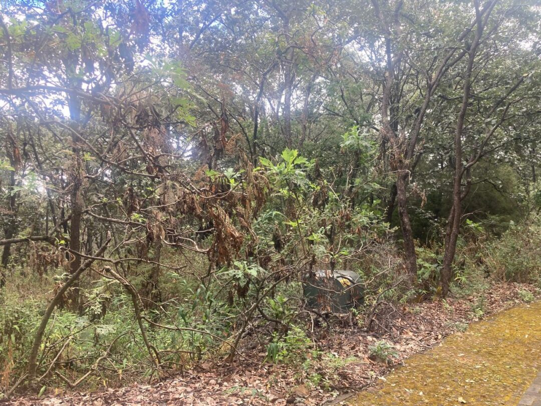 Terreno en venta Reserva de Los Encinos