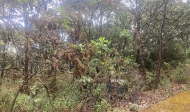 Terreno en venta Reserva de Los Encinos