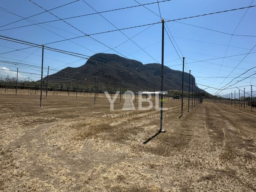 Terreno en venta de uso Agricola