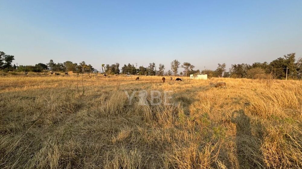 Terreno en venta sobre Carretera Colotlán