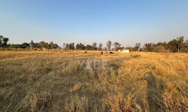 Terreno en venta sobre Carretera Colotlán