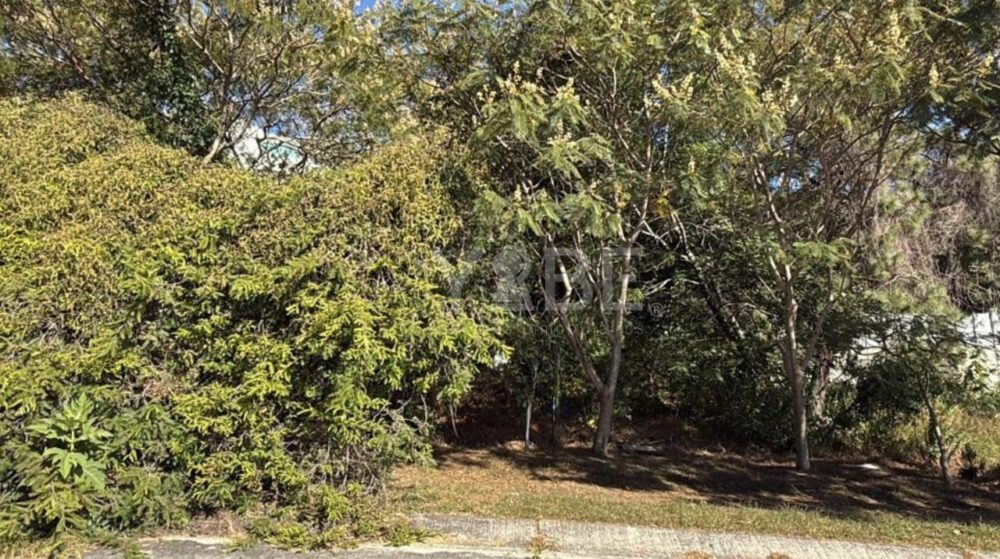 Terreno en venta el Palomar