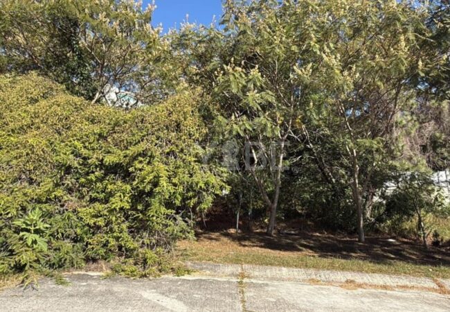 Terreno en venta el Palomar