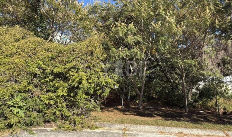 Terreno en venta el Palomar