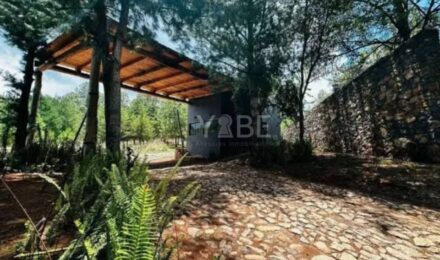 Terrenos en venta Campestre