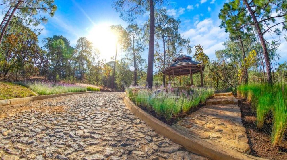 Terreno en venta Tapalpa