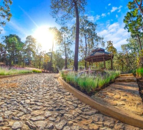 Terreno en venta Tapalpa