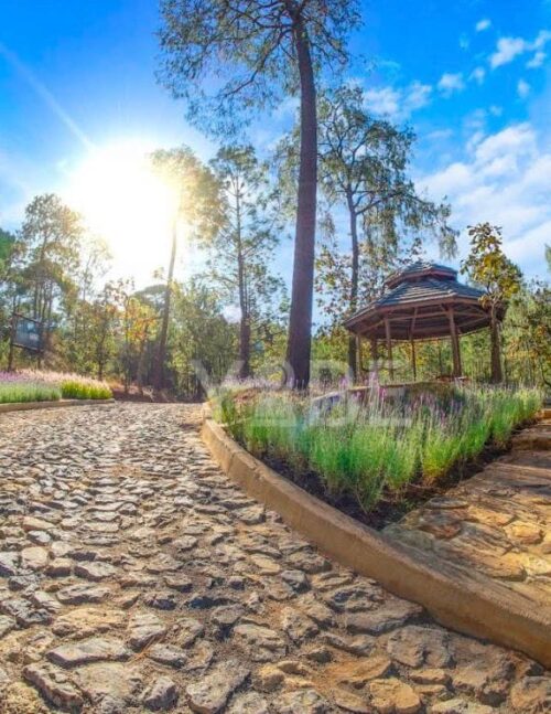 Terreno en venta Tapalpa