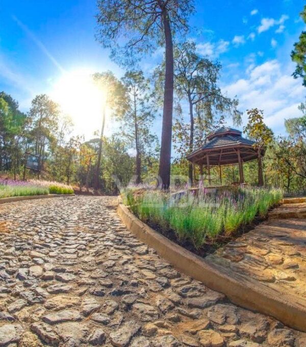 Terreno en venta Tapalpa