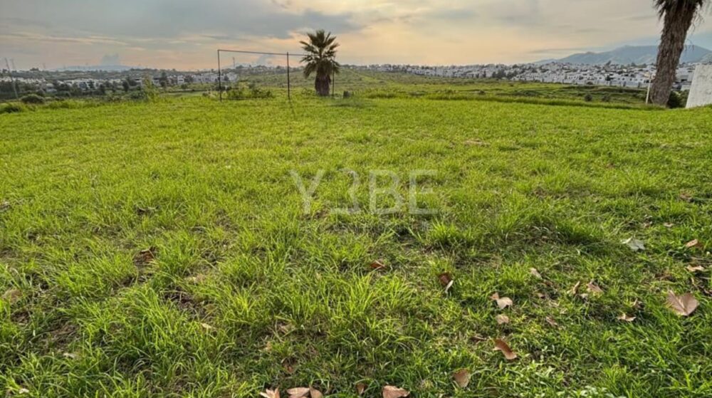Terreno en venta Valle Imperial