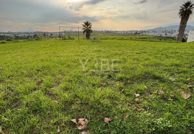 Terreno en venta Valle Imperial
