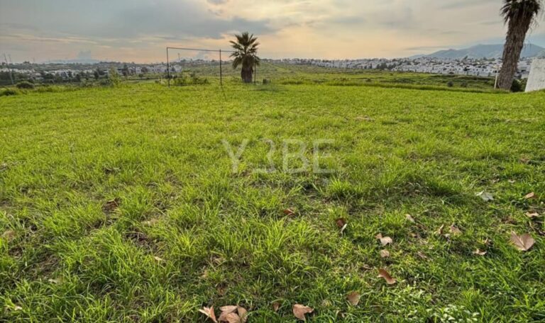 Terreno en venta Valle Imperial