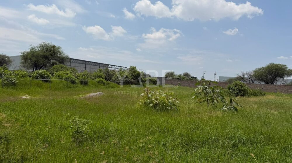 Terreno en venta y renta Las Pintitas, El Salto