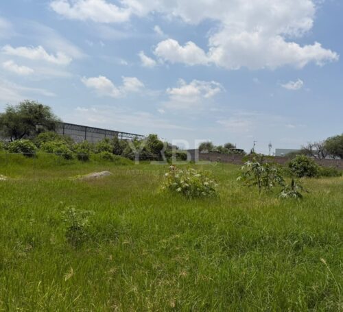Terreno en venta y renta Las Pintitas, El Salto
