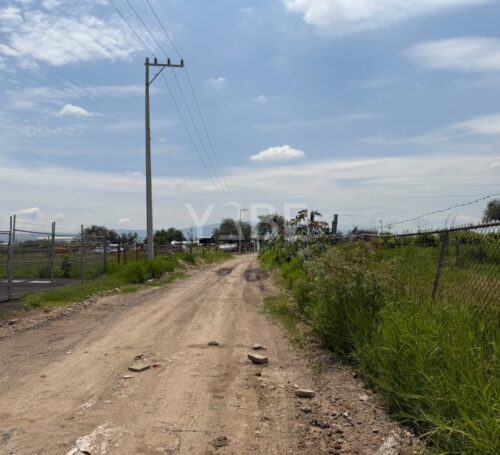 Terreno en venta y renta Las Pintitas, El Salto