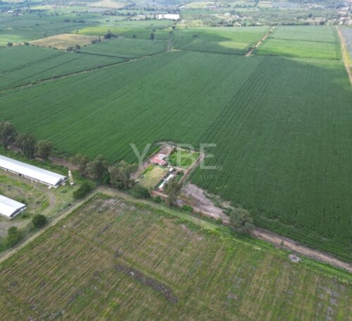 Terreno en venta El Ejido Ixtlahuacán de los Membrillos